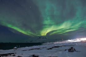 Chasing Northern Lights in Nuuk 