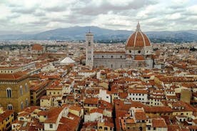 Private Guided Day in Florence and Pisa with Transfer from Rome
