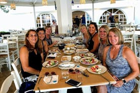 Santorini Wine and Food Experience with pick up