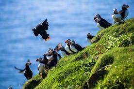 Private Westman islands day tour
