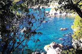 Privat vandring på Azure stränder och orörda olivlundar