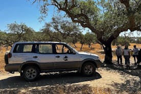4x4 Cork Tour with Optional Lunch