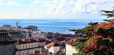 Trieste Like a Local: Customized Private Tour
