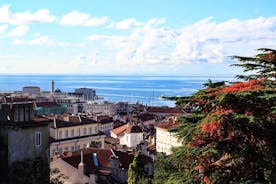 Trieste som ett lokalt: Anpassad privat rundtur