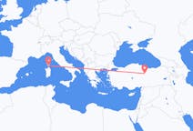 Flights from Figari to Sivas