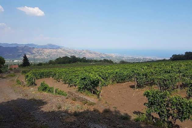 Route des vins à Linguaglossa et visite de Taormine de Giardini Naxos