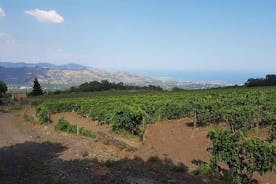 Linguaglossa의 와인 투어 및 Giardini Naxos의 Taormina 방문
