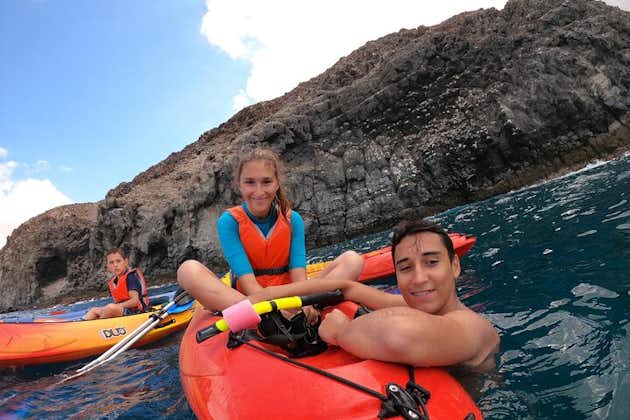 Kayaking + snorkeling with turtles