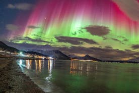 Northern Lights Chasing With Arctic Circle Tours, N-L ábyrgð, heit máltíð, mynd