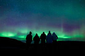 Northern Lights Enchanting: Lille gruppe, varm kakao og gratis billeder