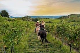 San Gimignano: Hel dag i en toscansk vingård