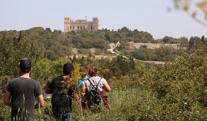 Buskett Woodlands and Dingli Cliffs Nature Walking Private Tour