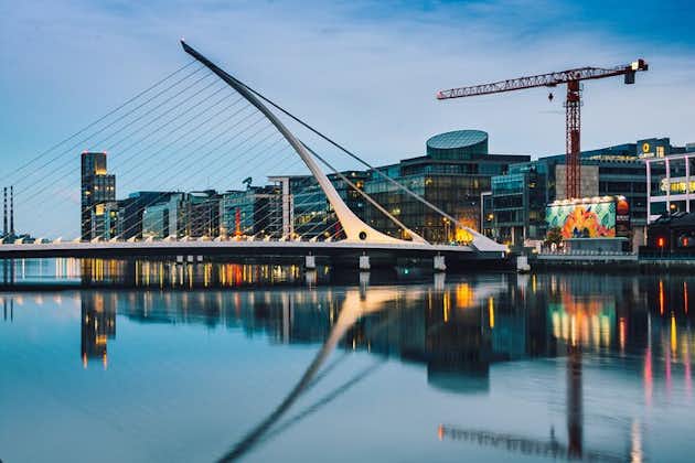 Private Half-day Tour of Dublin with pick-up and drop-off