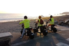 전기 스쿠터 또는 전기 자전거 2인승 가족 여행 : 플라야 잉글레스, 마스팔로마스