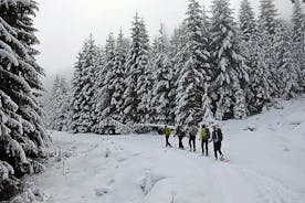 Heldags Vitosha Mountain snowshoe-vandretur fra Sofia