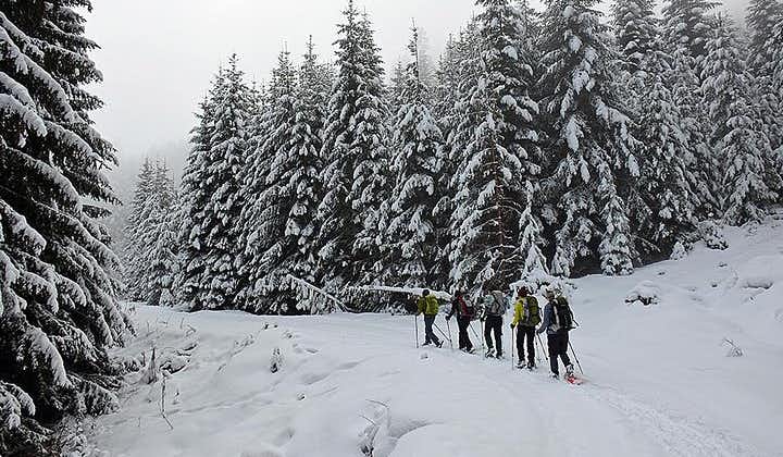 Heldags Vitosha Mountain Snowshoe-vandringstur från Sofia
