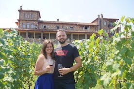 Full-Day Wine Tasting Tour to Kakheti with Lunch from Tbilisi