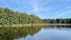 Třeboňsko Protected Landscape Area, Tušť, Suchdol nad Lužnicí, okres Jindřichův Hradec, Jihočeský kraj, Southwest, Czechia