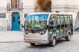 Wroclaw, 2-Hour Group Tour by Electric Car