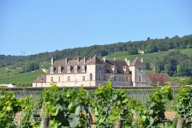 Multi Day Private Tour Vineyards and Heritage