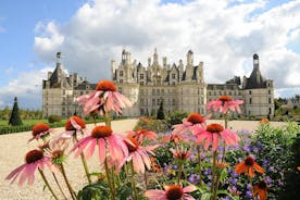Excursão diurna nos castelos do Vale do Loire: Blois, Cheverny e Chambord com degustação de vinhos no almoço