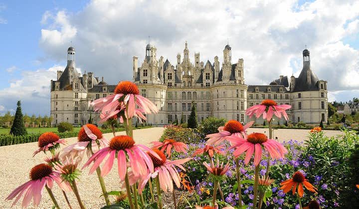 Day tour of Chateaux of Chambord, Blois, Cheverny & wine tasting at local winery