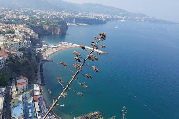 Tour en la costa de Amalfi: Ravello, Amalfi y Positano, un día desde Roma
