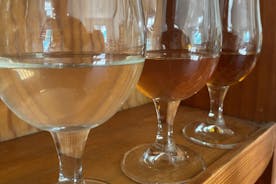 Private Mead-Tasting Experience in Lourdes