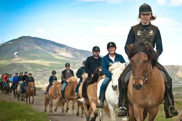 在兰克斯参加冰岛骑马