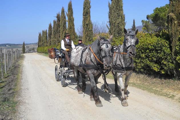 Carriage ride and Lunch in a typical restaurant in the heart of Chianti