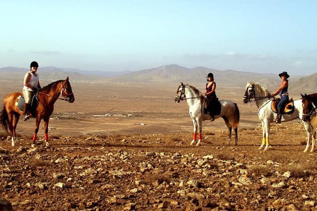 スペイン、フェルテベントゥラ島での 1 ～ 2 時間の乗馬