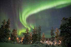 Aurora Borealis Tour Kiruna - Abisko paikallisella katuruokalla