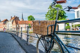 Privat cykel- og historietur