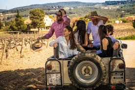 Wine & Cava with Tapas & 4WD Vineyards Experience from Barcelona