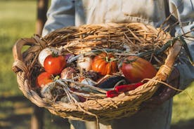 Erityinen vegaaninen ruoanlaittokurssi Toscanassa: tutustu Valdichiana Senesen makuihin