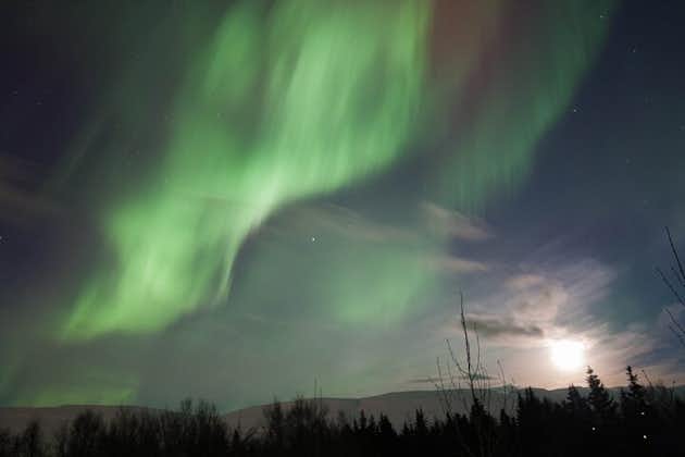 Northern Lights 4x4-tur från Akureyri