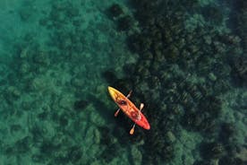 世界自然基金会皮划艇之旅探索托雷萨尔萨保护区