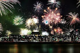 Fuochi d'artificio di Capodanno in barca da Reykjavik