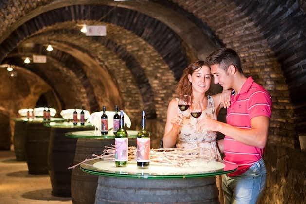 Två vingårdsbesök i la Rioja och rundvandring i la Guardia