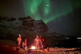 Northern Lights Tour with Hot Food and Drinks in Tromso