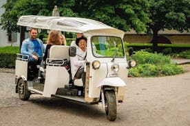 Geneva: Sightseeing of top Places Tour Electric TukTuk 1H tour