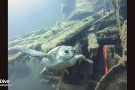 Descubra el buceo con Pissouri Bay Divers