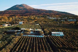 Økologisk vinsmagning og frokost på Vesuvius med overførsel fra Amalfikysten