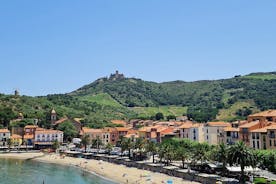 Private Walk In The Vineyards Of Collioure With Wine Tasting