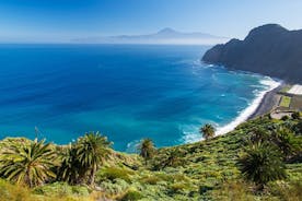 Ganztägige Bustour zur Insel La Gomera mit professionellem Guide - Mittagessen inklusive
