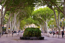 Marseille Aix-en-Provence och Cassis 8 timmar