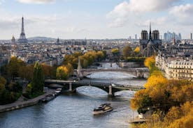 Seine River Direct Access Guided Cruise by Vedettes de Paris