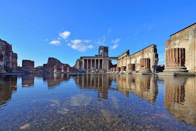 Privat tur: Pompeji og Sorrento fra Rom