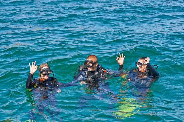 Prova dyk - Upptäck dykning i Albufeira