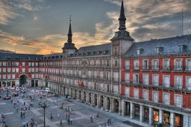 Madrid Custom Private Tour med valgfrit Prado Museum Spring køen over
